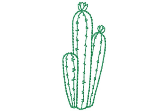 Cactus Group Outline: A Designer's Review for Craft Fair Success